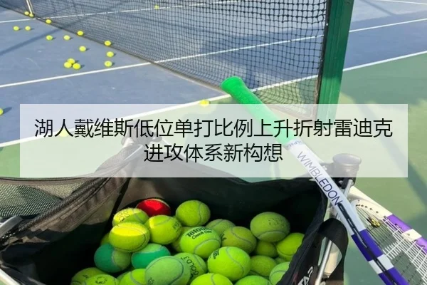 湖人戴维斯低位单打比例上升折射雷迪克进攻体系新构想
