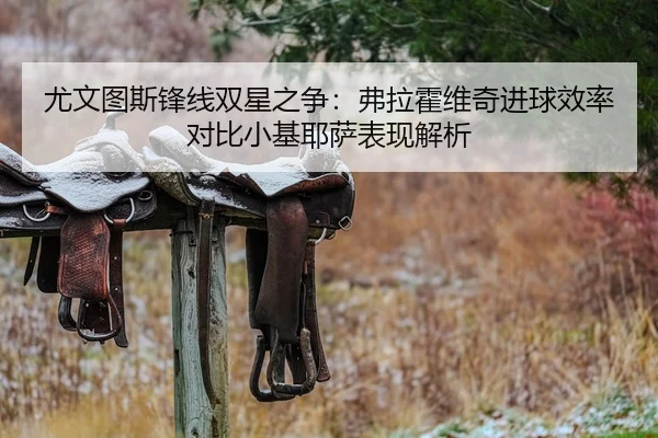 尤文图斯锋线双星之争：弗拉霍维奇进球效率对比小基耶萨表现解析