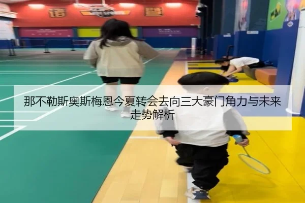 那不勒斯奥斯梅恩今夏转会去向三大豪门角力与未来走势解析